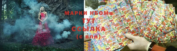 ECSTASY Абаза