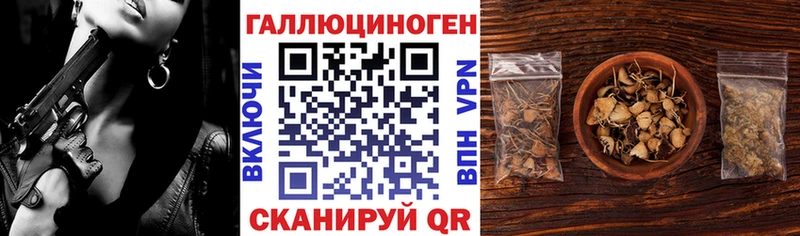 Псилоцибиновые грибы Psilocybine cubensis  Астрахань 