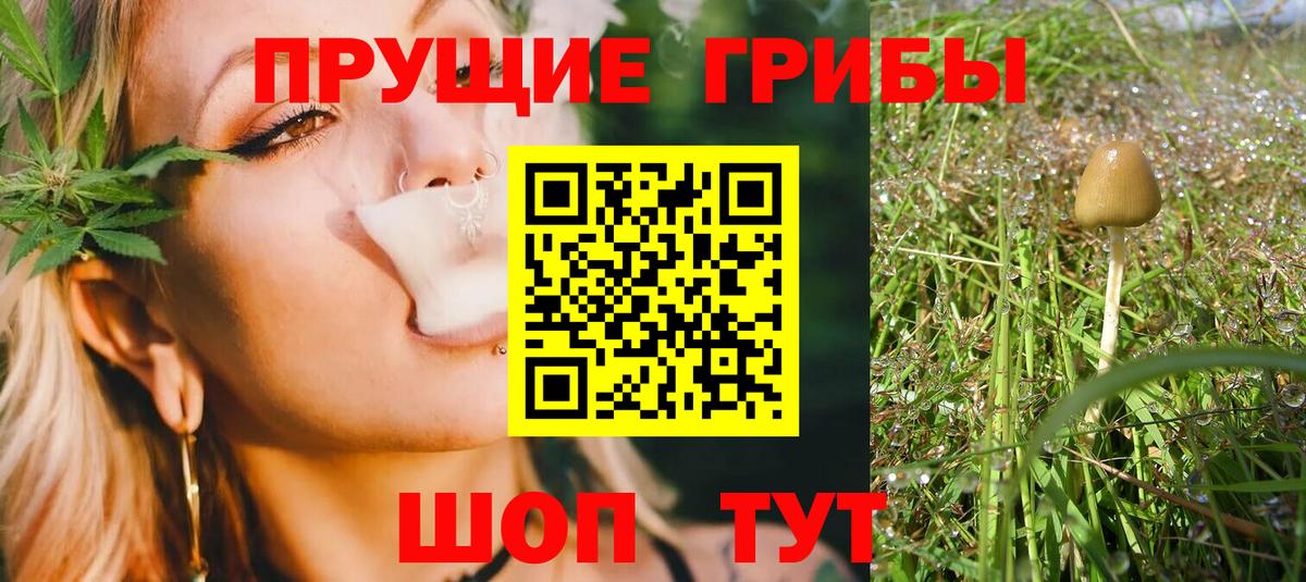 Кокаин  Вход с VPN  Астрахань  Меф кристаллы  Где продают наркотики?  A PVP СК кристаллы  Экстази  ГАШИШ  Канабис 